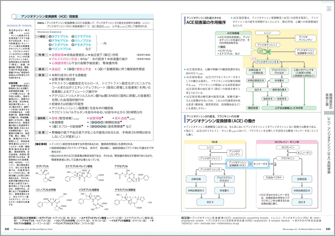 薬がみえる（vol.1）[医療情報科学研究所]