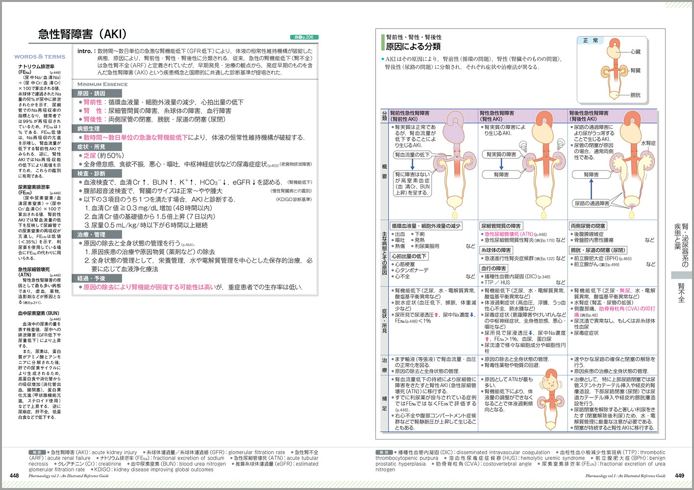薬がみえる（vol.1）[医療情報科学研究所]
