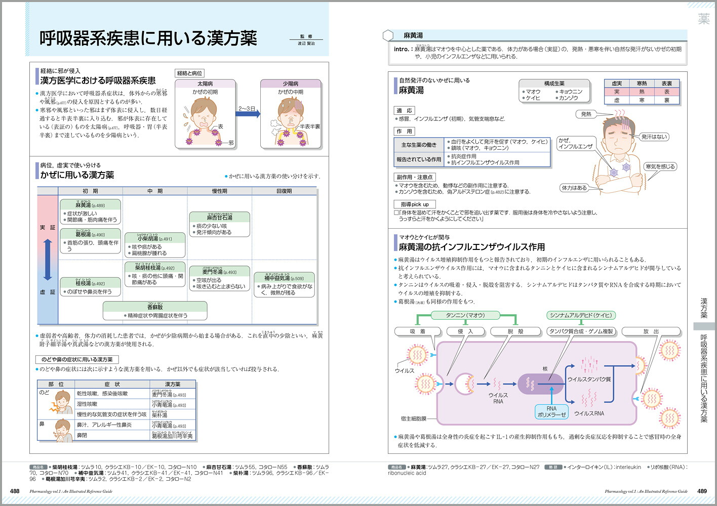 薬がみえる（vol.1）[医療情報科学研究所]