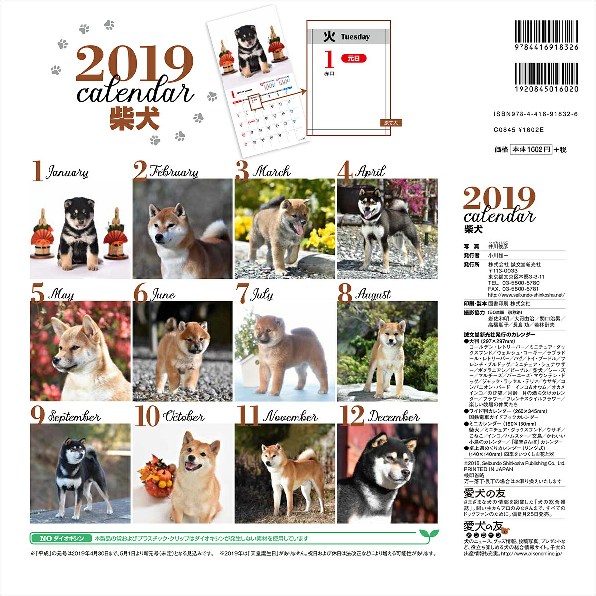 楽天ブックス 19年大判カレンダー 柴犬 井川 俊彦 本