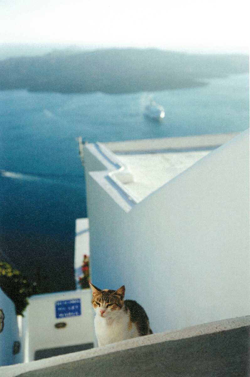 楽天ブックス エーゲ海のねこ シエスタの町から Asuha 明日葉ー 本
