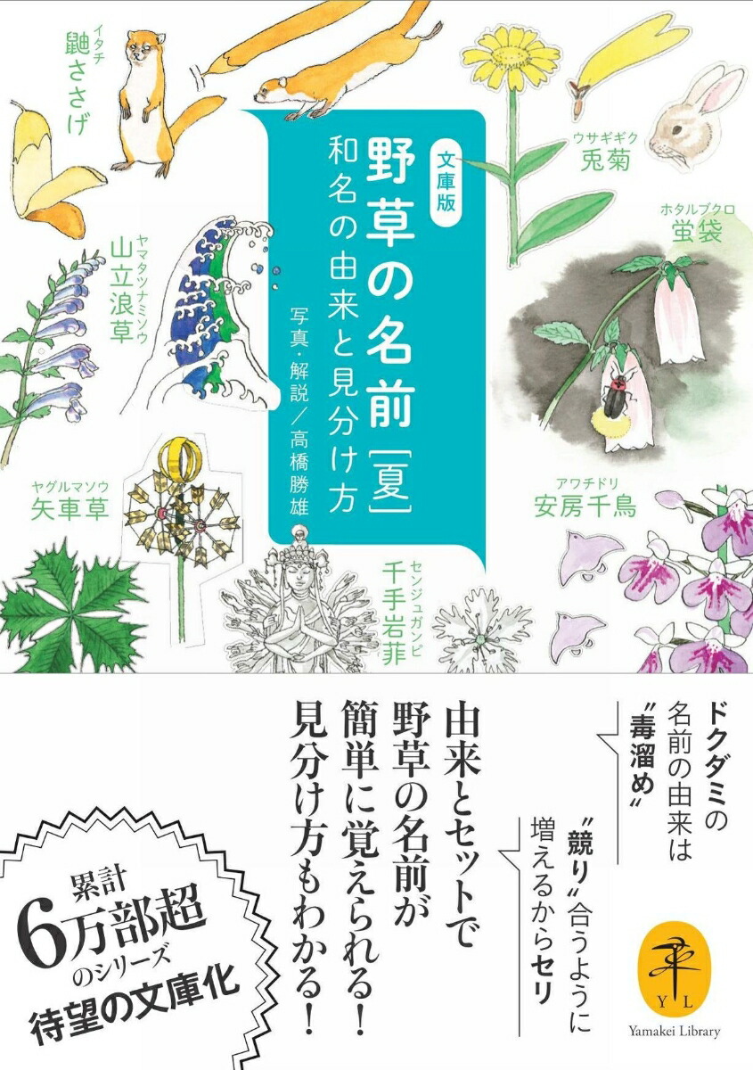 楽天ブックス 野草の名前 夏 和名の由来と見分け方 高橋勝雄 本