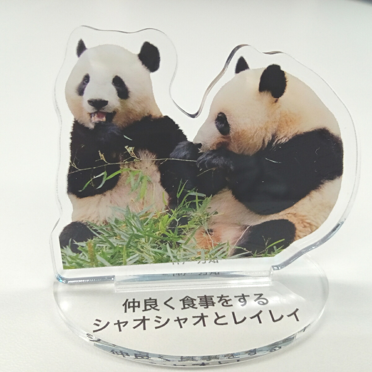 【楽天ブックス限定特典】あふれる笑顔！双子パンダシャオシャオ＆レイレイ～わくわく・ドキドキな双子物語～(仲良く食事をするシャオシャオとレイレイ（C）神戸万知6cm×6cmサイズアクリルスタンド)[神戸万知]
