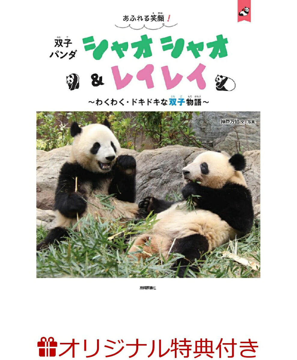 【楽天ブックス限定特典】あふれる笑顔！双子パンダシャオシャオ＆レイレイ～わくわく・ドキドキな双子物語～(仲良く食事をするシャオシャオとレイレイ（C）神戸万知6cm×6cmサイズアクリルスタンド)[神戸万知]