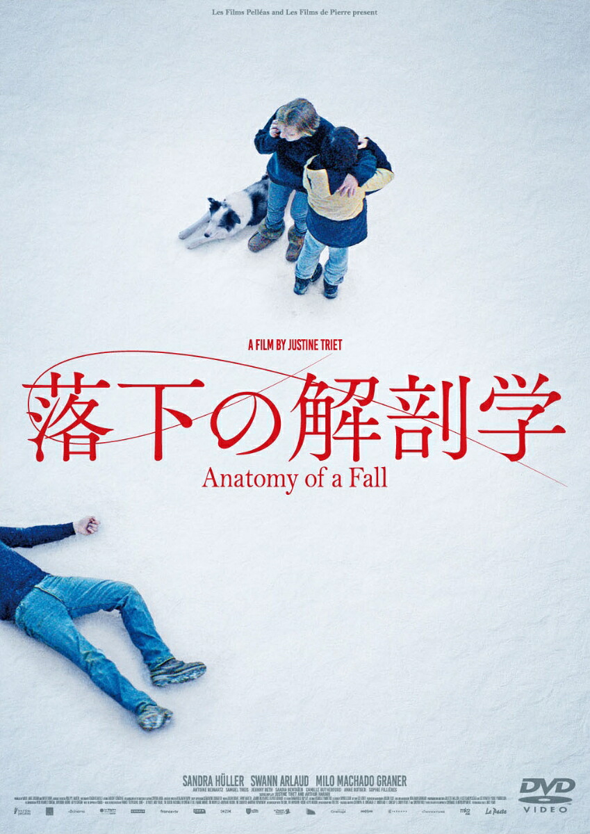 落下の解剖学画像