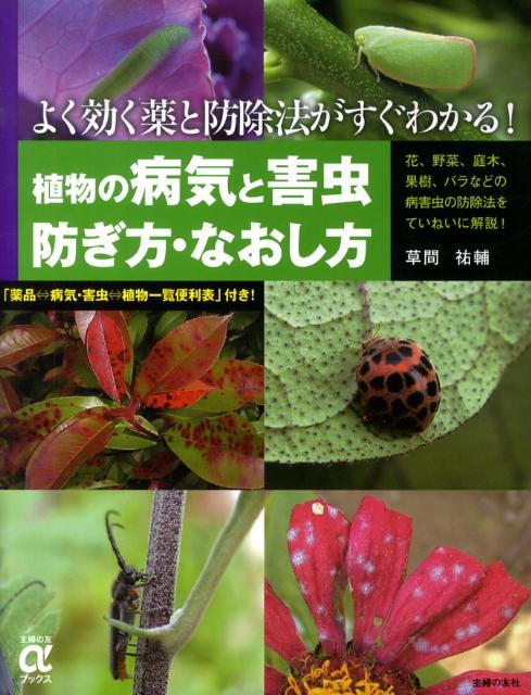 楽天ブックス 植物の病気と害虫防ぎ方 なおし方 よく効く薬と防除法がすぐわかる 草間祐輔 本