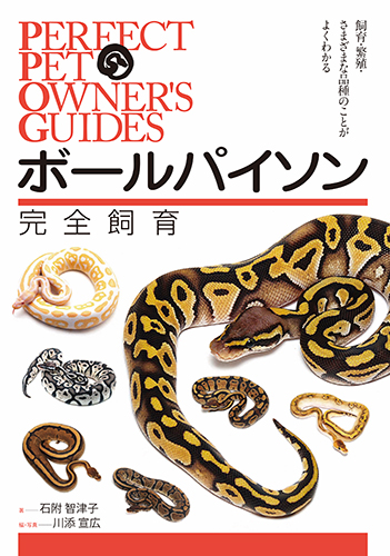 楽天ブックス ボールパイソン 完全飼育 飼育 繁殖 さまざまな品種のことがよくわかる 石附 智津子 本