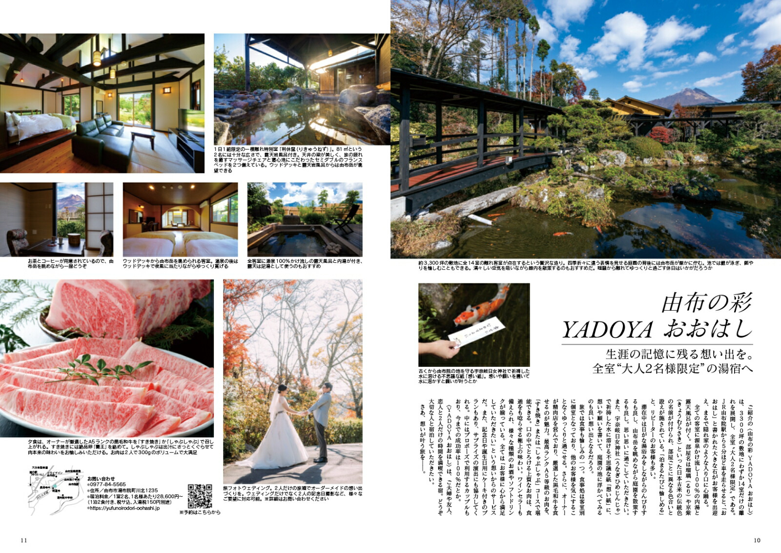 JapanBrandCollection2025��ʬ�ǡʥ�ǥ����ѥ��å���