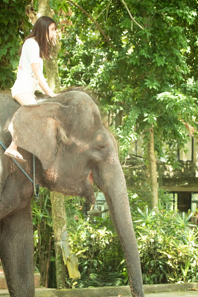 �ڳ�ŷ����ɽ���ǵ�ں�46��ƣͥΤ�̿�����7�äΤ����碌�סʸ������̿��դ���[��ƣͥΤ]