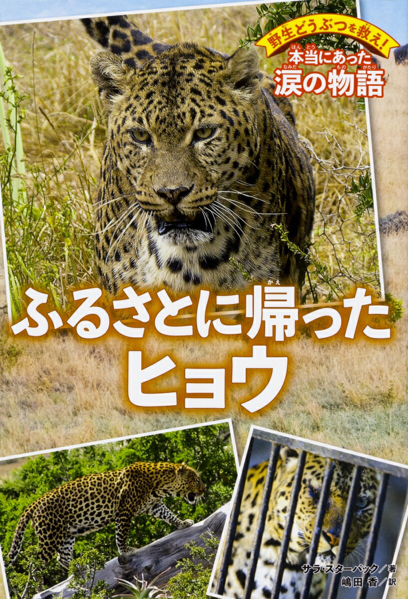 楽天ブックス 野生どうぶつを救え 本当にあった涙の物語 ふるさとに帰ったヒョウ サラ スターバック 本