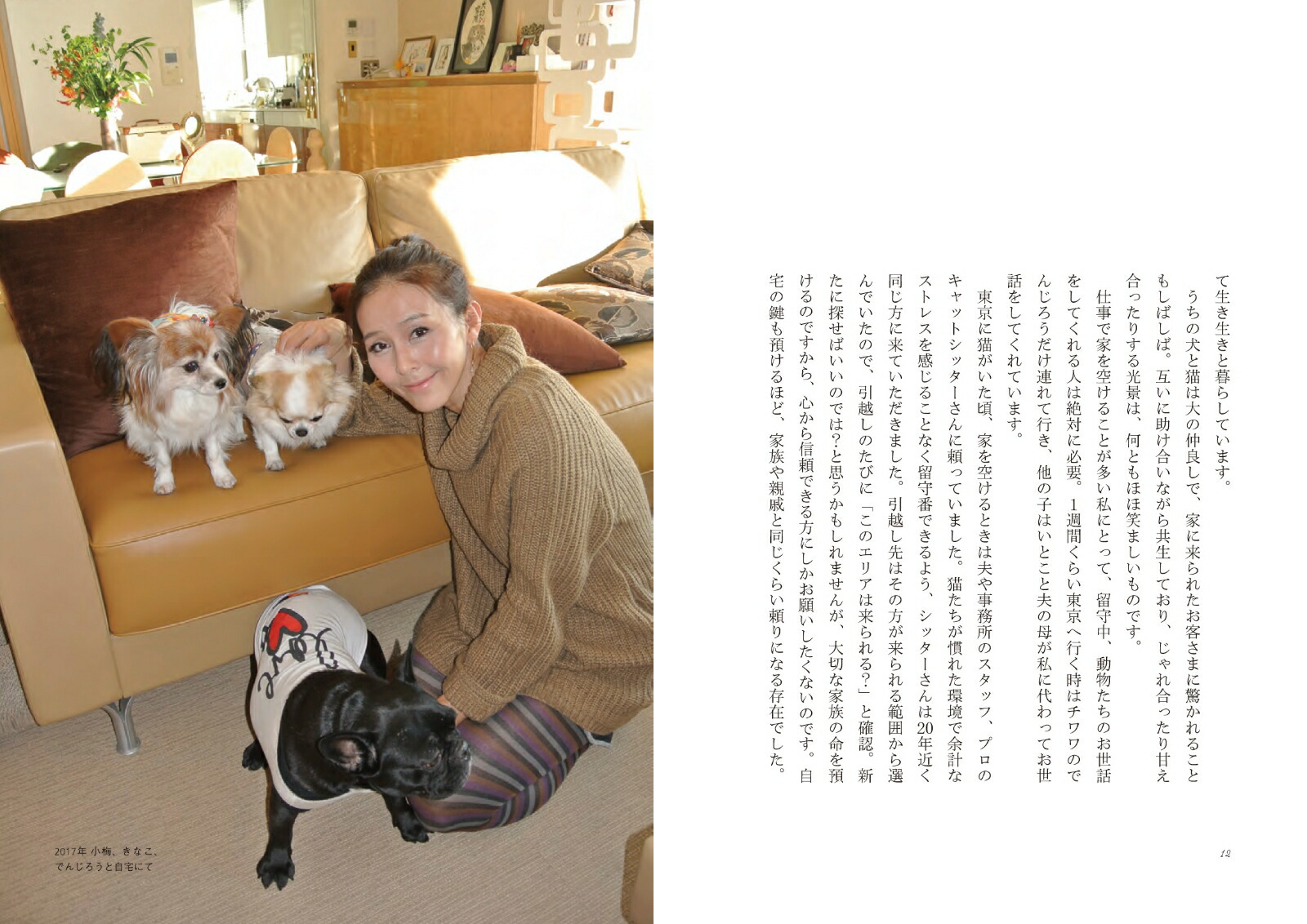 ưʪ�������Ƥ��줿���Τ�����餷[���ܺ�]