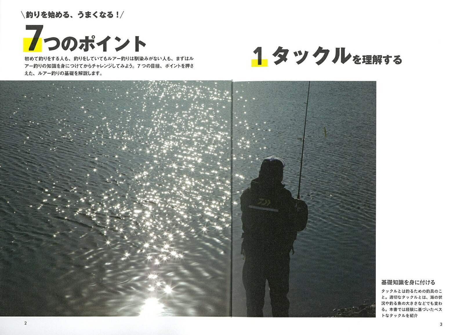 3980円以上のご購入で送料無料 アウトドア レジャー 海 タイカブラ 青物 真鯛 釣り ルアー タイラバ 80g タングステン ヘッド 鯛ラバ 鯛カブラ 遊動式 交換 フィッシング用品 ジグ 底物
