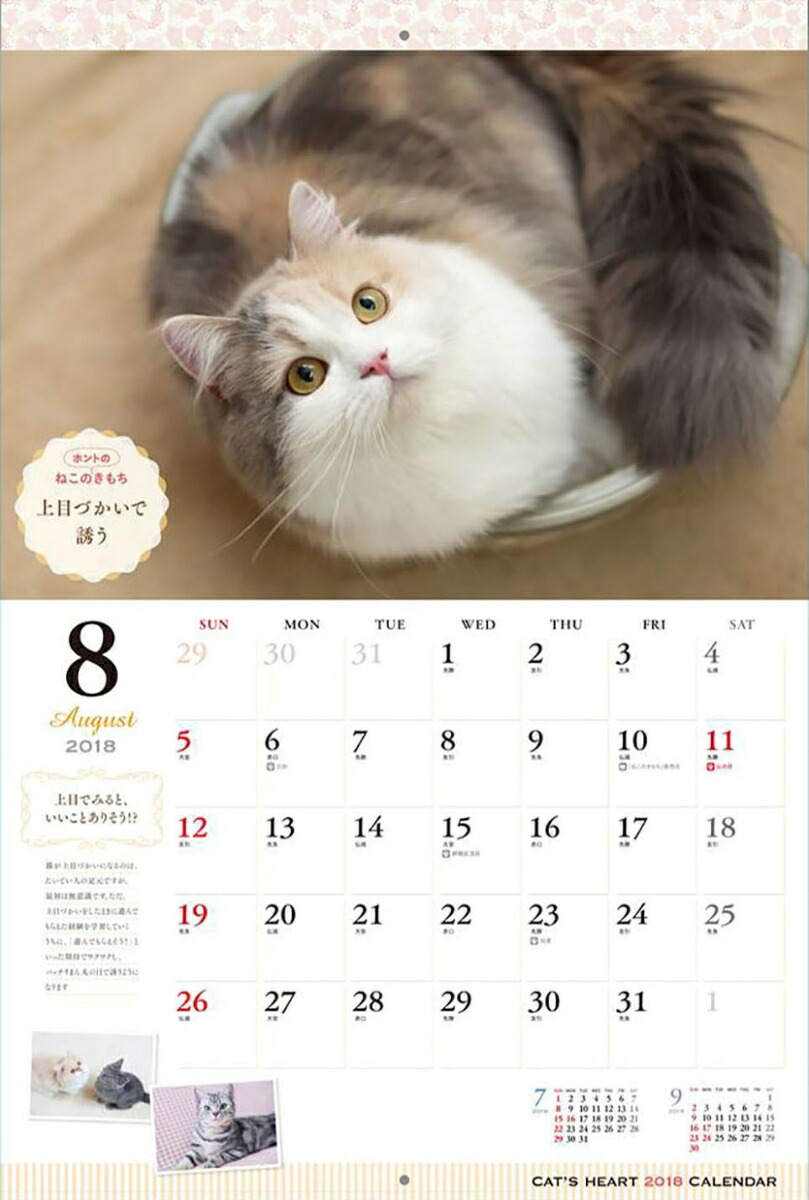 ねこのきもちカレンダー 18 本 楽天ブックス