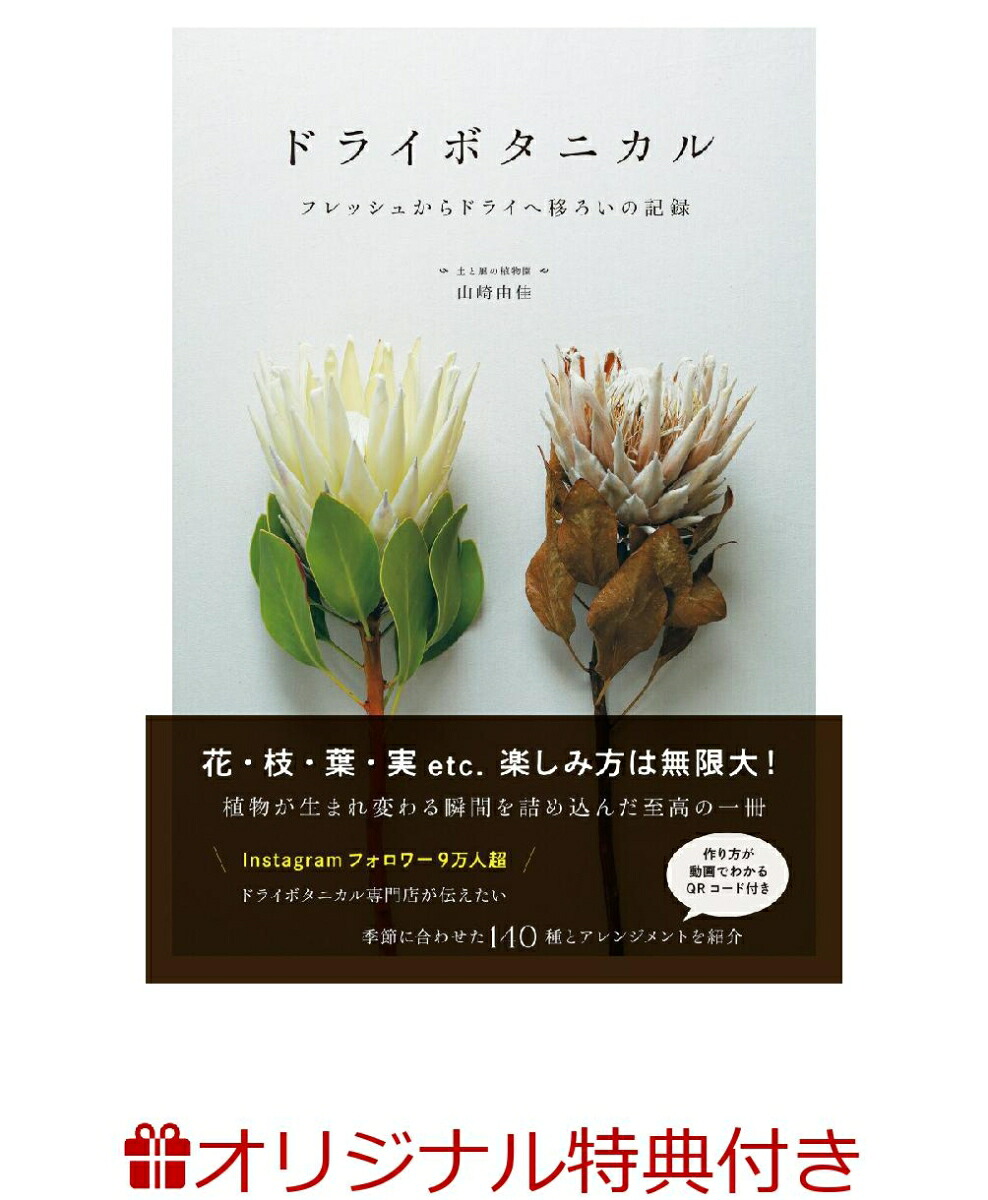 【楽天ブックス限定特典】ドライボタニカルフレッシュからドライへ移ろいの記録(ドライボタニカルお試しセット申し込みURL)[山崎由佳]