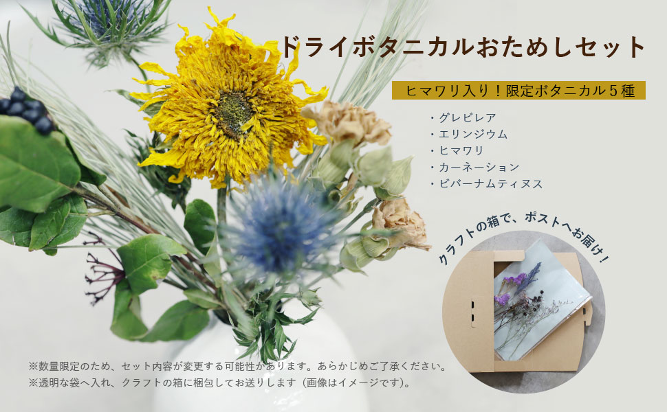 【楽天ブックス限定特典】ドライボタニカルフレッシュからドライへ移ろいの記録(ドライボタニカルお試しセット申し込みURL)[山崎由佳]