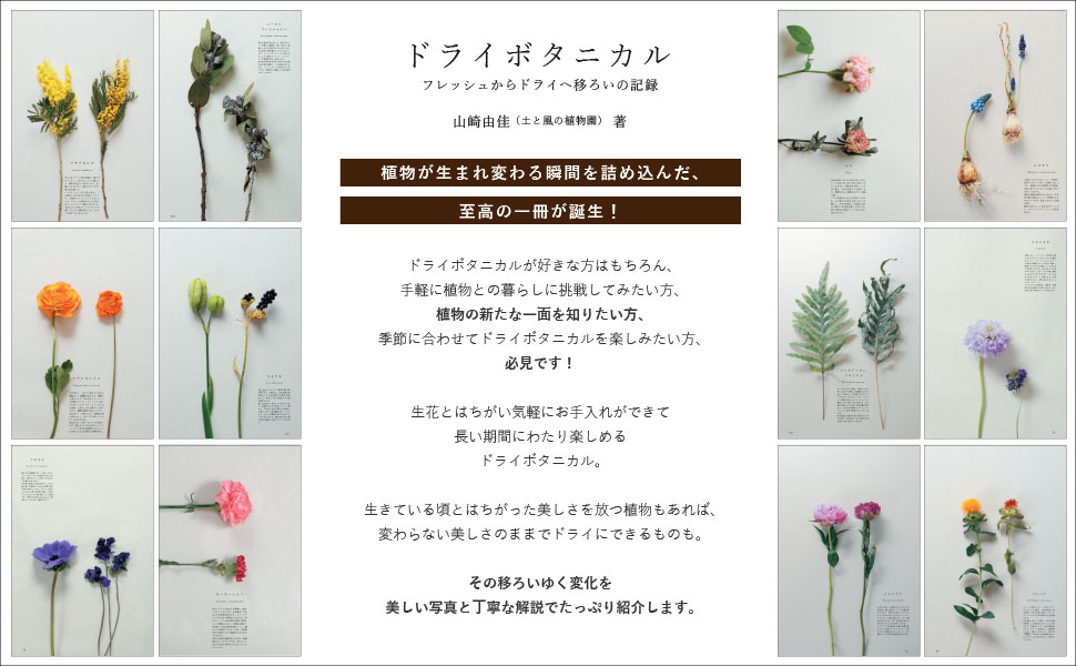 【楽天ブックス限定特典】ドライボタニカルフレッシュからドライへ移ろいの記録(ドライボタニカルお試しセット申し込みURL)[山崎由佳]