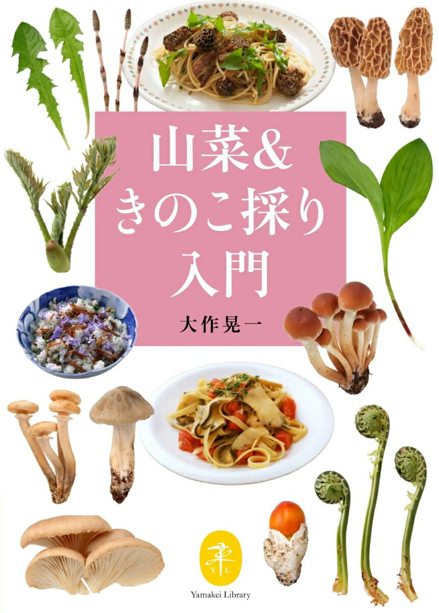 ڡΤΤʥޥʸˡ[]