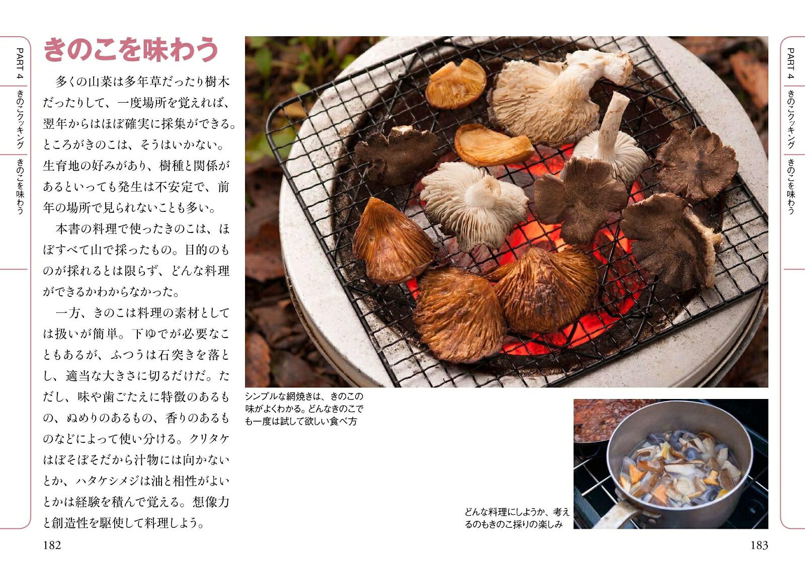 山菜＆きのこ採り入門（ヤマケイ文庫）[大作晃一]