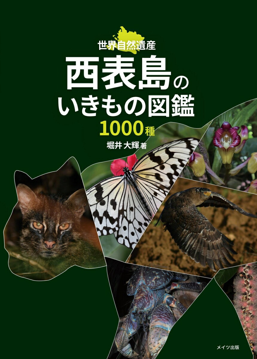 ɽΤο޴1000[ٰ統]