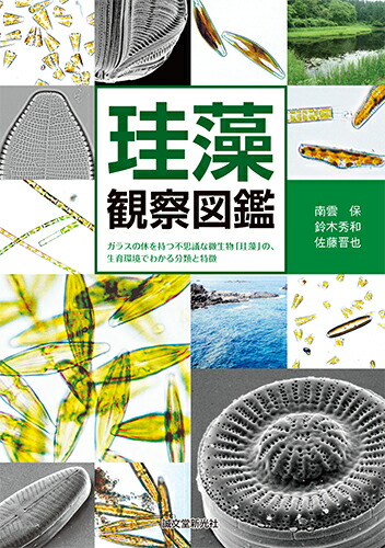 楽天ブックス 珪藻観察図鑑 ガラスの体を持つ不思議な微生物 珪藻 の 生育環境でわかる分類と特徴 南雲 保 本