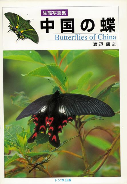 【バーゲン本】中国の蝶ー生態写真集画像