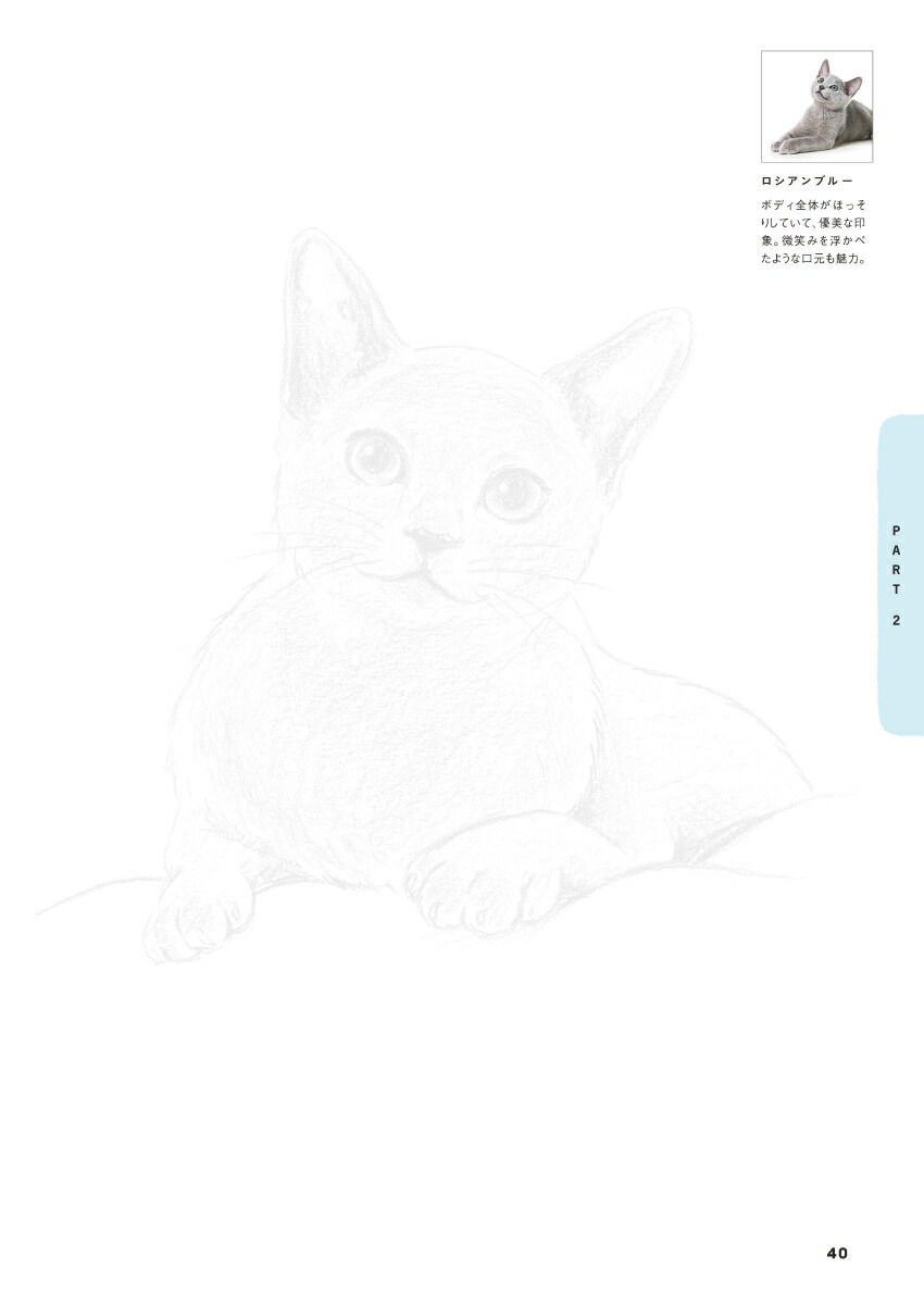 楽天ブックス えんぴつで簡単 かわいい 猫なぞり絵 Shino 本