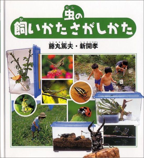 λ