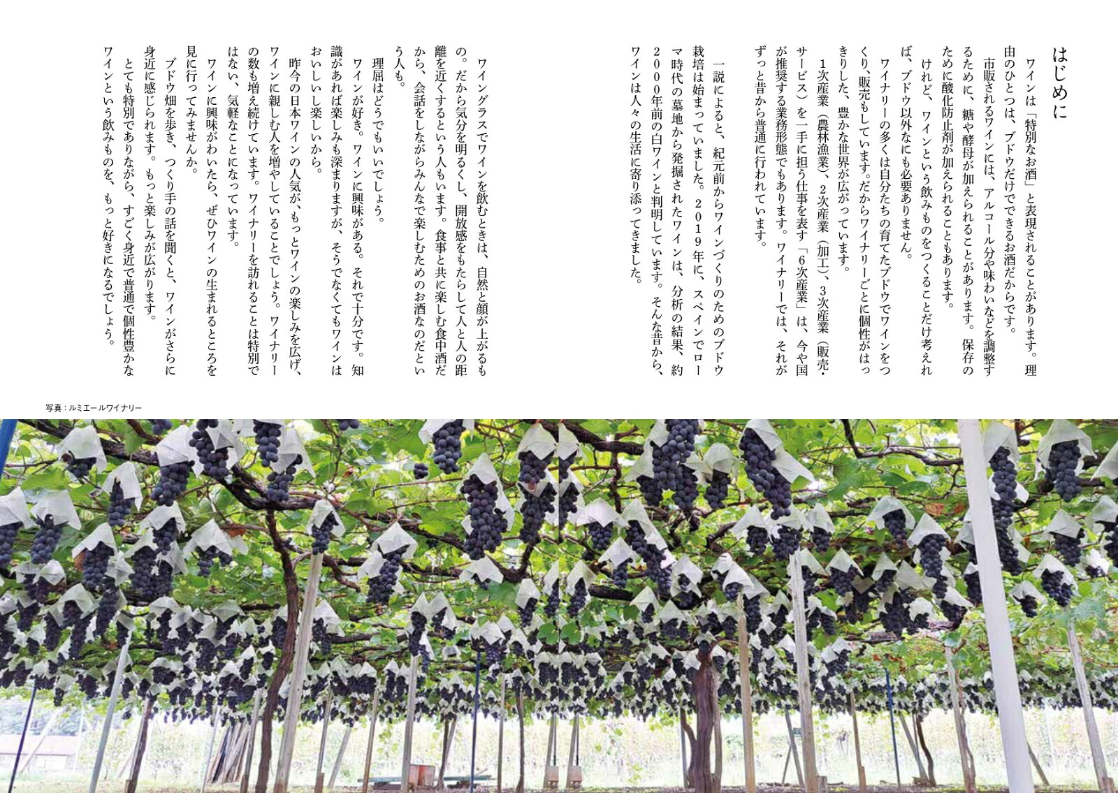 全国のちいさなワイナリーめぐり