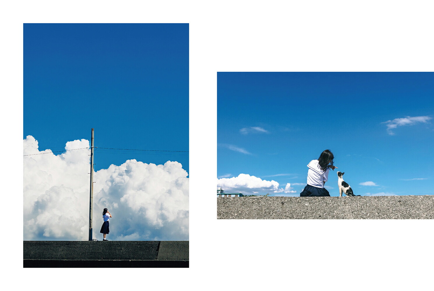 �Ƥμ�ŵ[�������ڻ�]