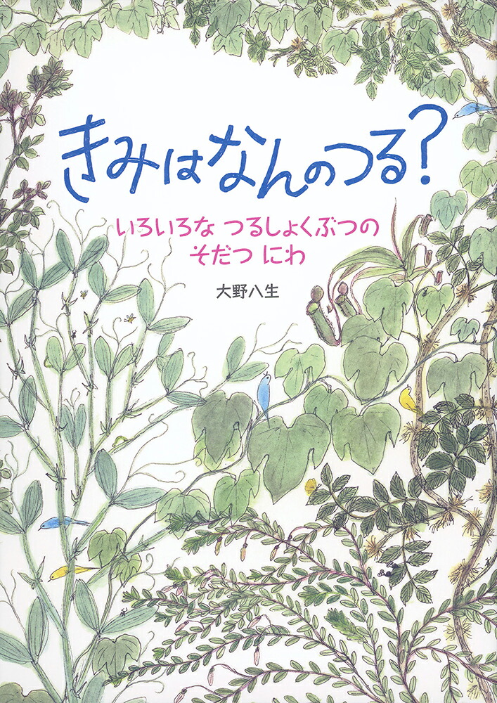 きみはなんのつる？いろいろなつるしょくぶつのそだつにわ（福音館の科学シリーズ）[大野八生]