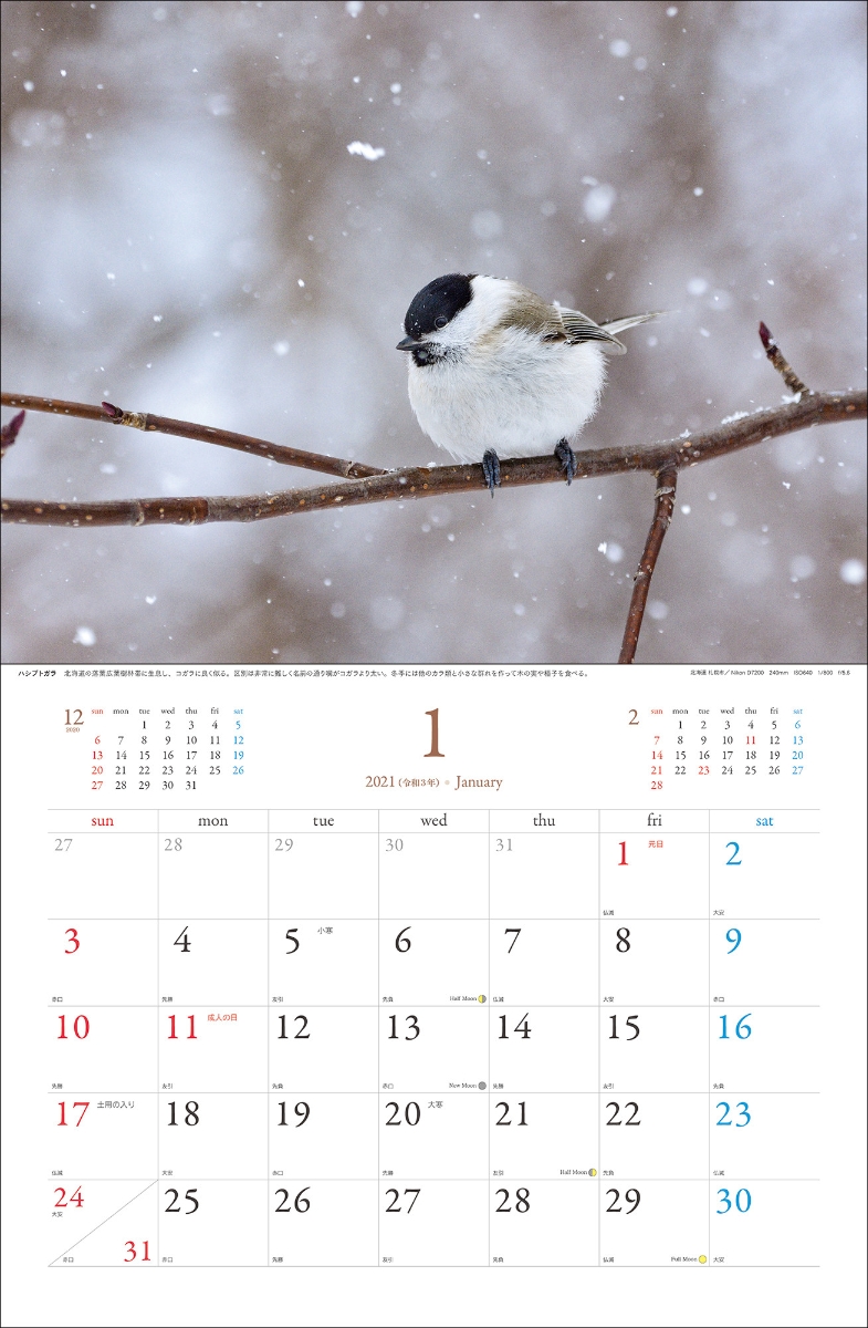 楽天ブックス 21野鳥カレンダー 内山晟動物写真事務所 本