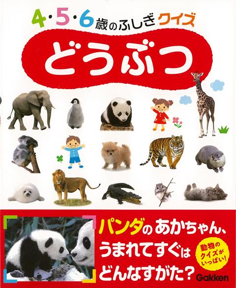 楽天ブックス バーゲン本 どうぶつー4 5 6歳のふしぎクイズ 今泉 忠明 本