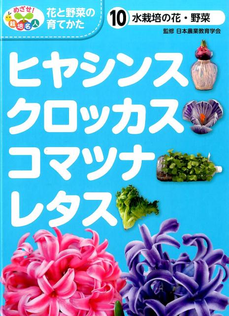 水栽培の花・野菜　ヒヤシンス・クロッカス・コマツナ・レタス画像
