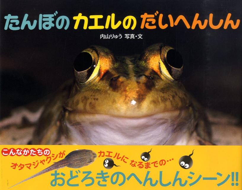 楽天ブックス たんぼのカエルのだいへんしん 内山りゅう 本