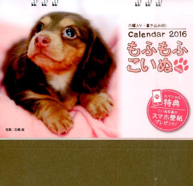 楽天ブックス もふもふこいぬminiカレンダー 16 本