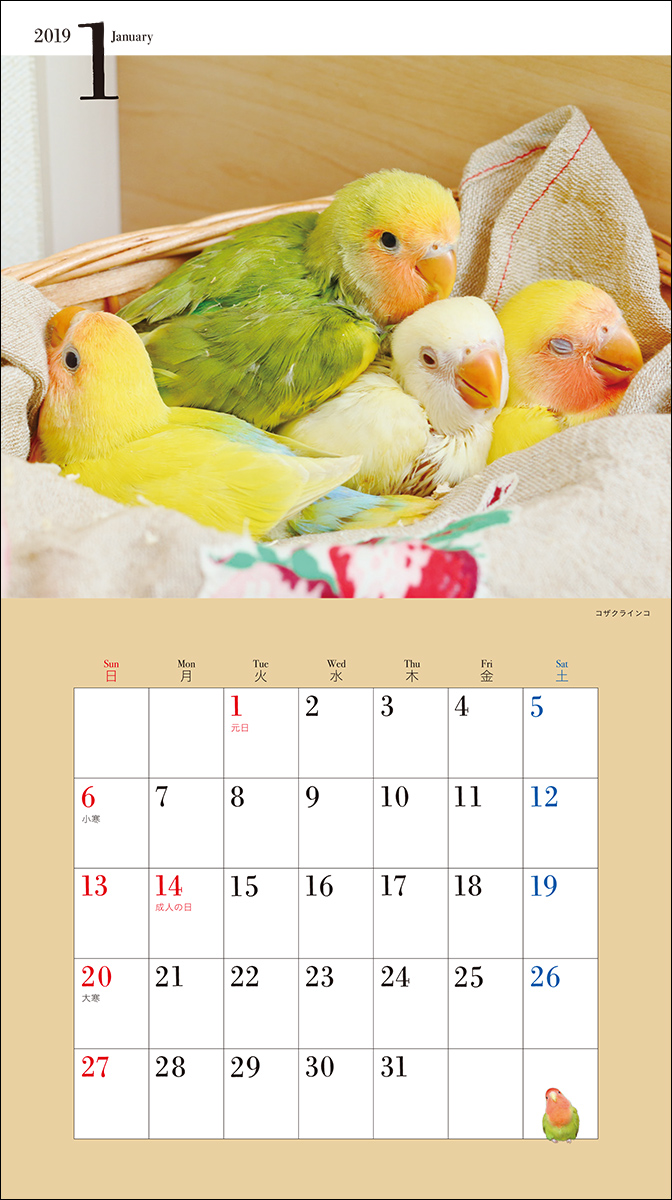 楽天ブックス 19年ミニカレンダー かわいい小鳥のカレンダー 蜂巣 文香 本