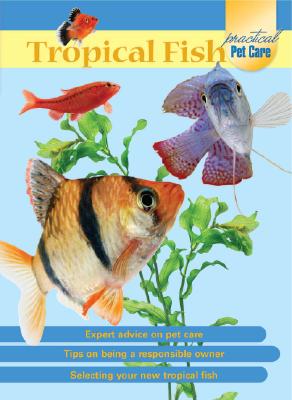 tropical fish and feed