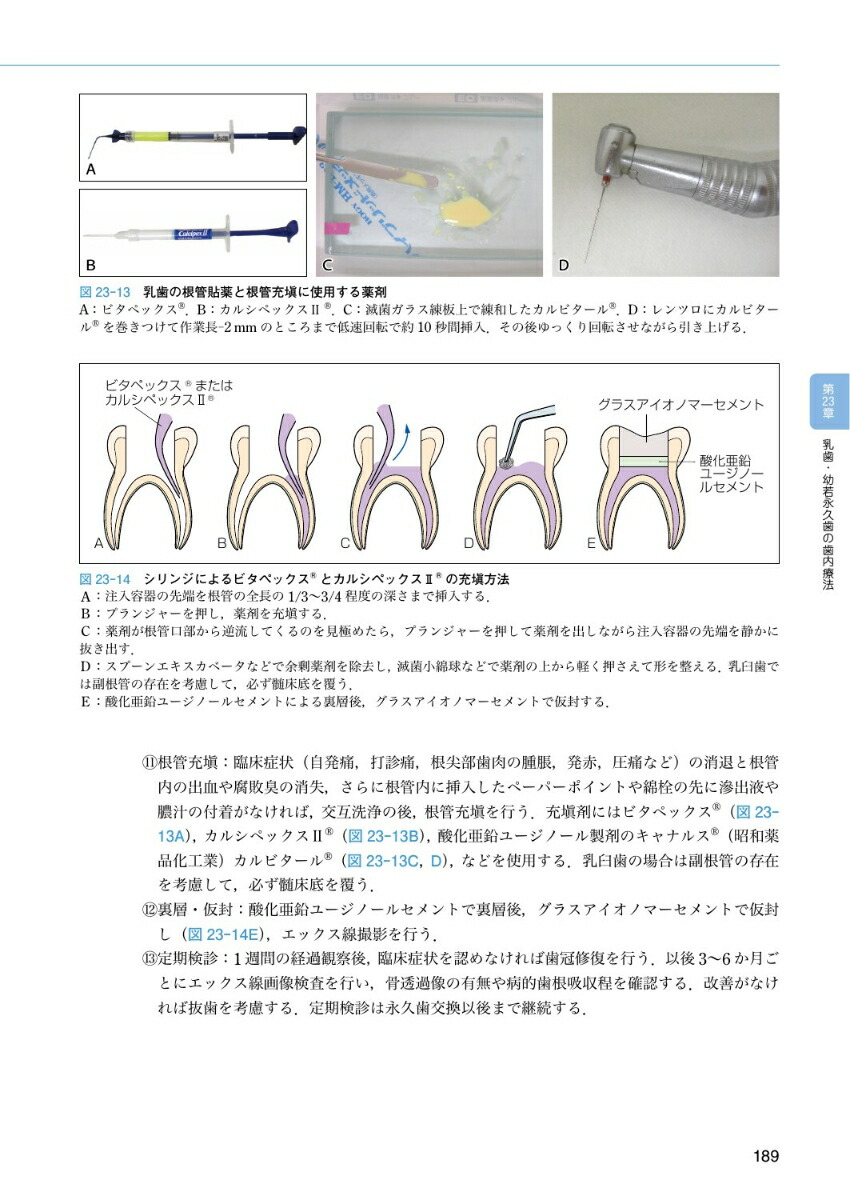 新発 小児歯科学基礎 臨床実習第3版 早割クーポン Afilcoseguridad Com