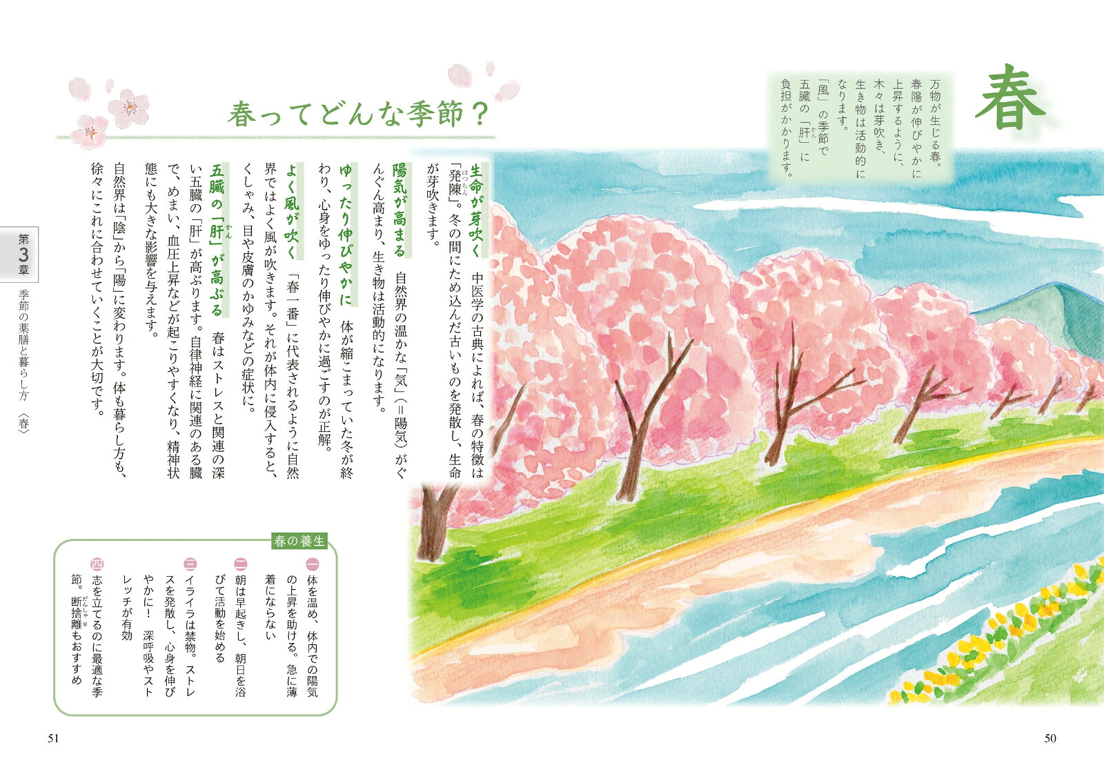 はじめての薬膳生活[岡尾知子]