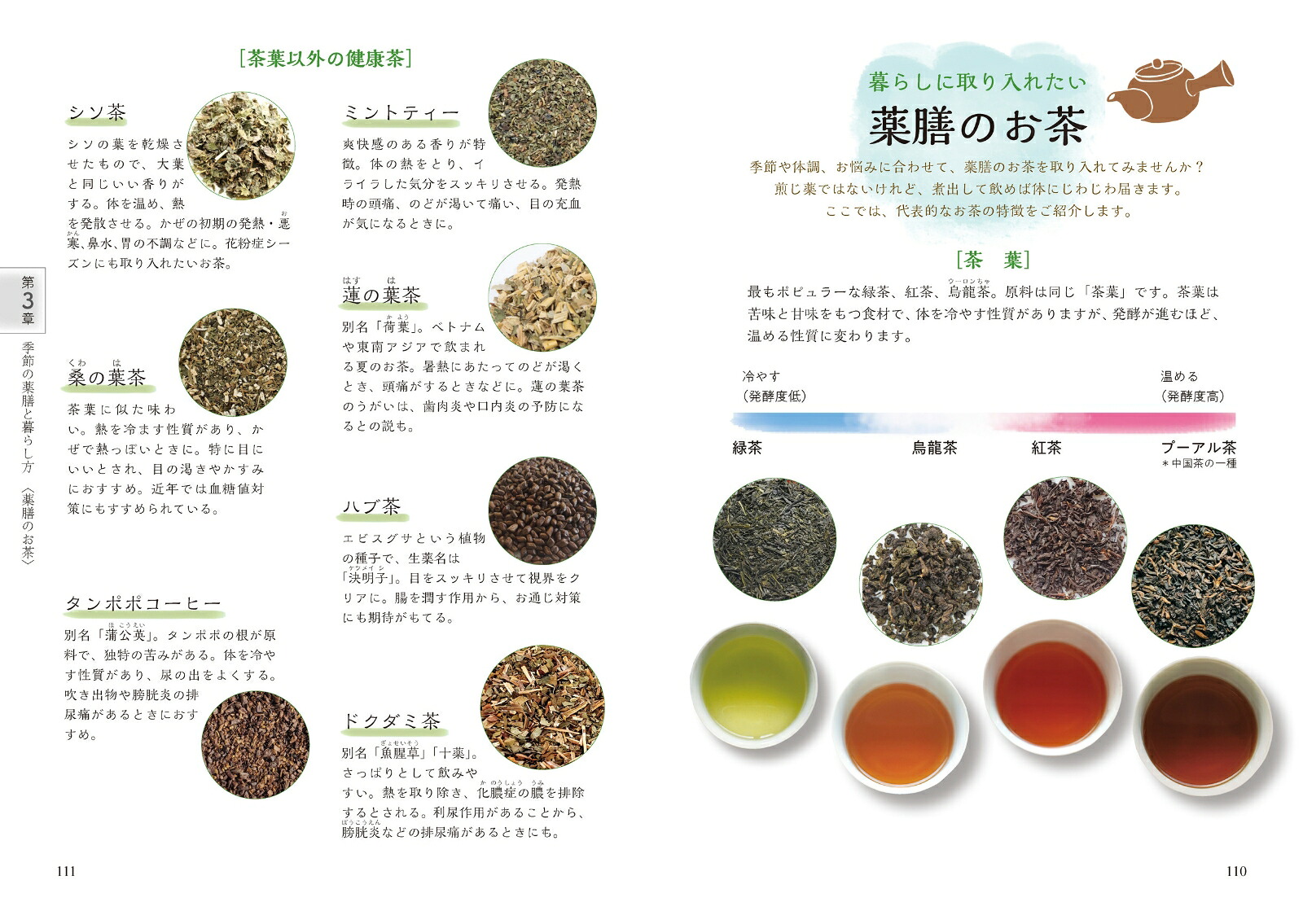 はじめての薬膳生活[岡尾知子]