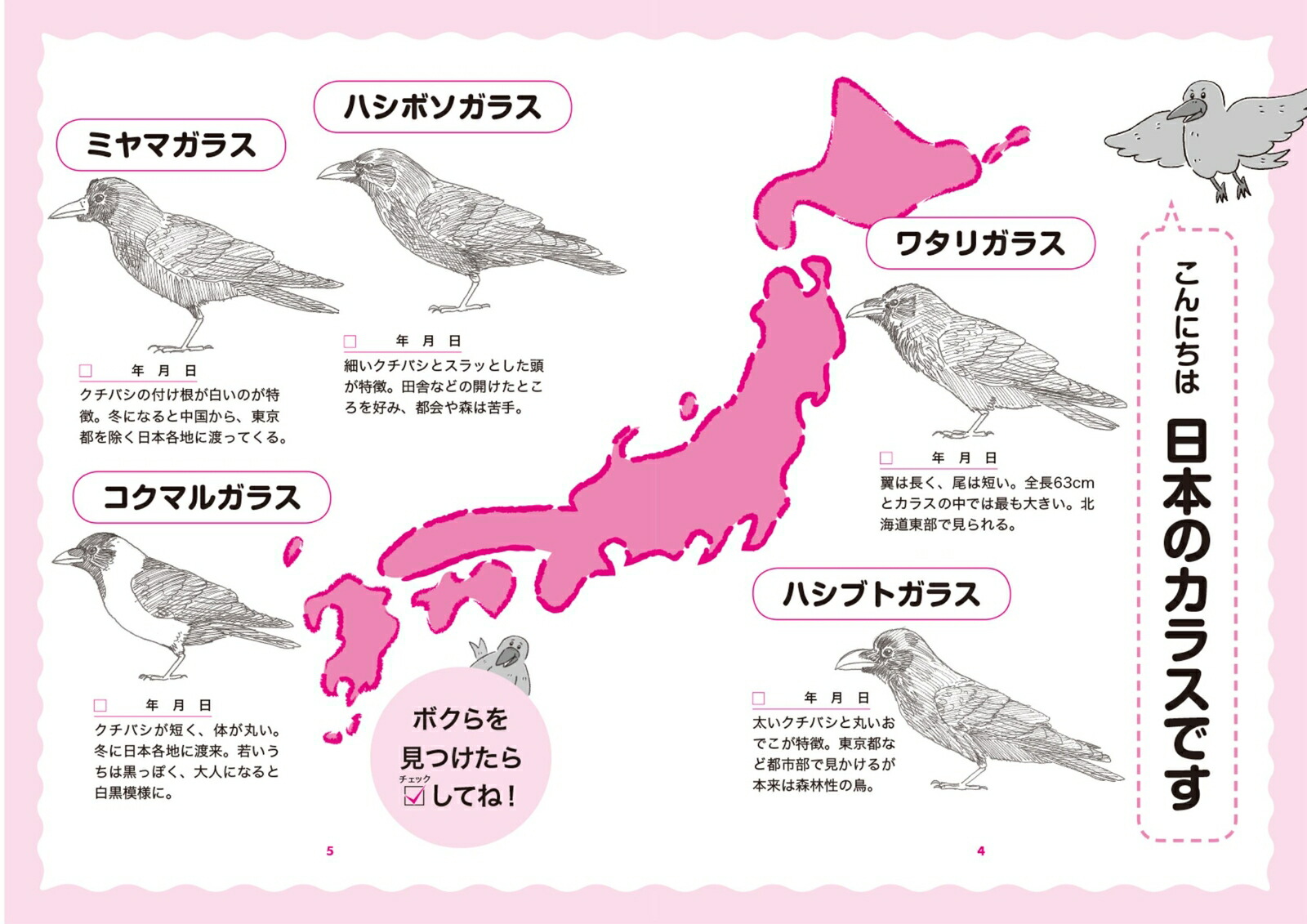 楽天ブックス 眠れなくなるほど面白い 図解 カラスの話 明日からカラスが怖くなくなる 身近な鳥の不思議と魅力を大解説 松原 始 本