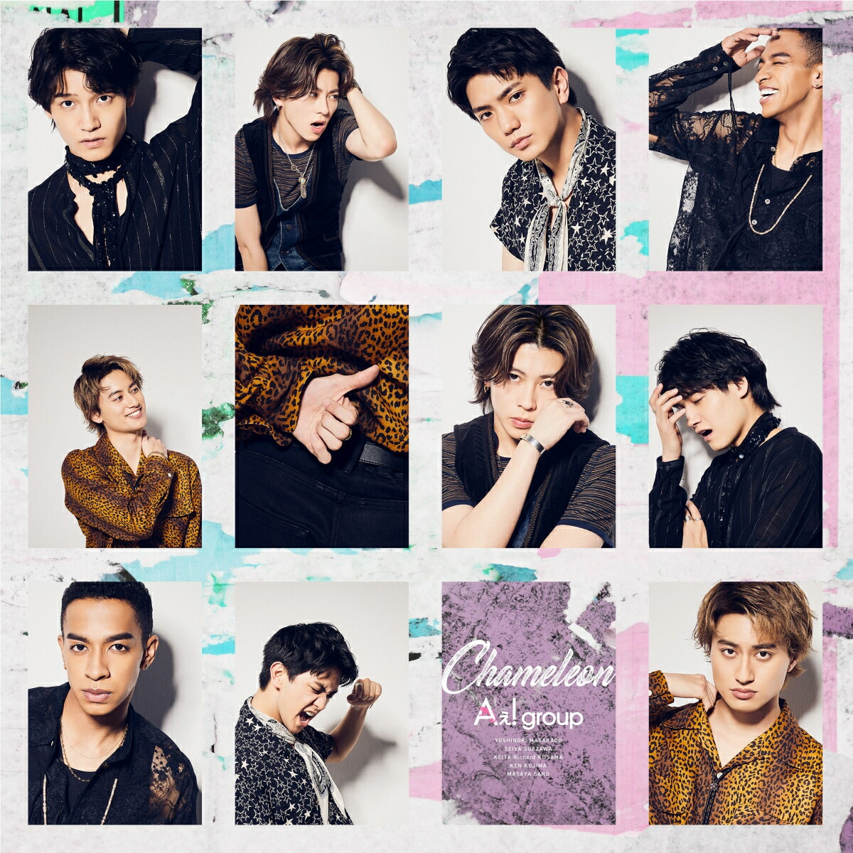 ŵChameleon(̾)(ChameleonƥåȡB5)[A!group]