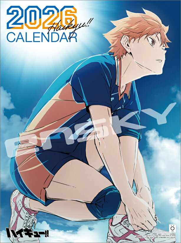 楽天市場】『ハイキュー!! 10thクロニクル』 蔦屋書店 蔦屋家電 : 蔦屋書店