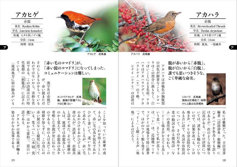 楽天ブックス 野鳥の名前 本