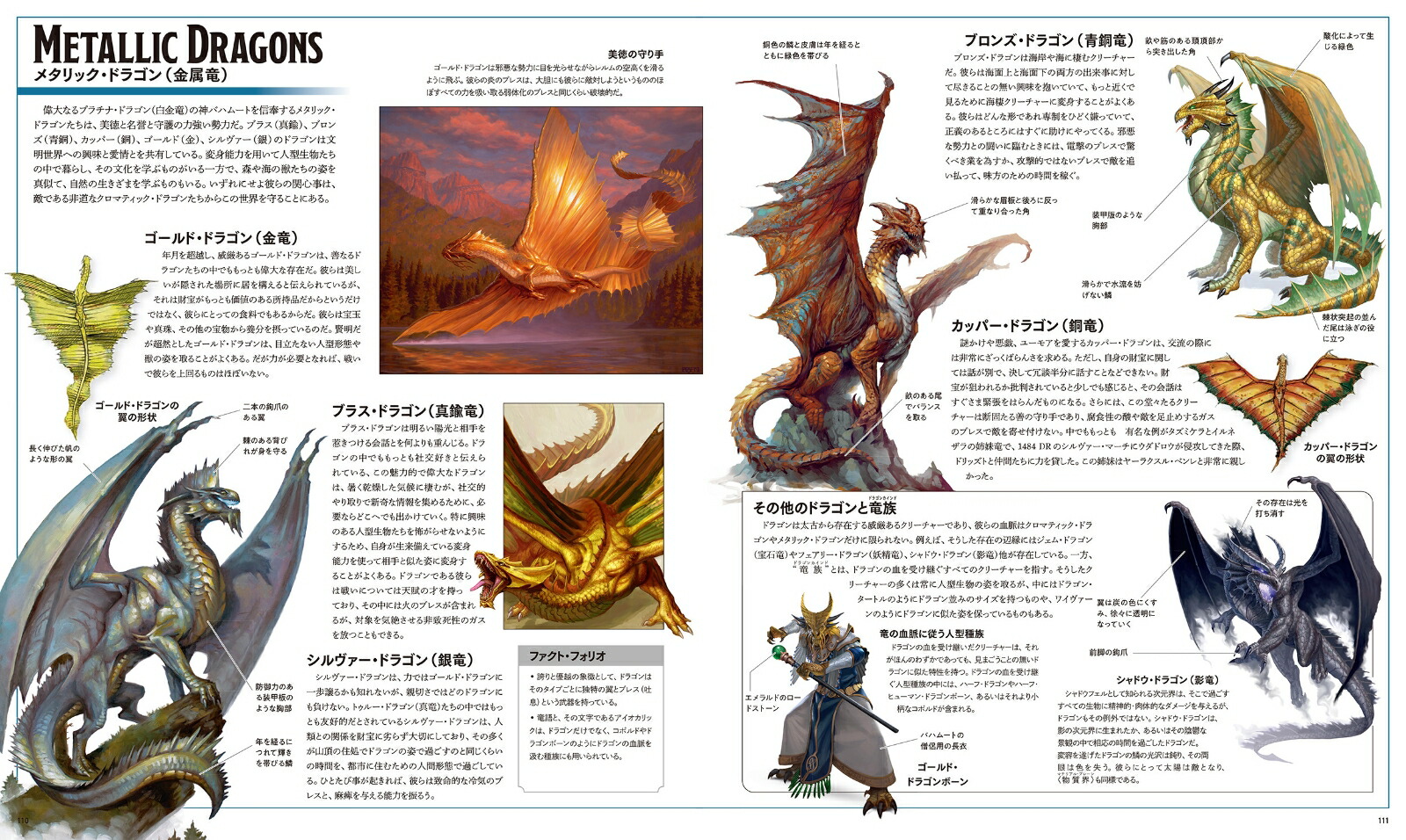 󥸥&ɥ饴󥺥ɥåȤ奢ɴ[ޥ롦åȥ]