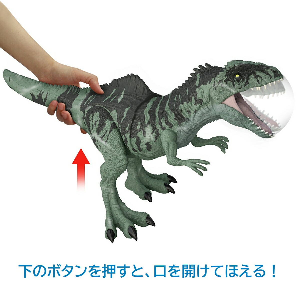 マテル　ジュラシックワールド　恐竜　4体セット　ビッグ　かみつき 吠える マテル ジュラシックワールド 恐竜 4体セット ビッグ かみつき