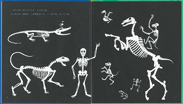 �ۤ͡ʤ������ΤȤ⳨�ܡ�[��������]