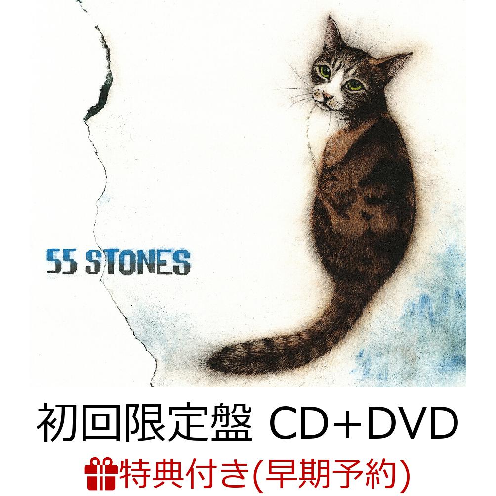 楽天ブックス 早期予約特典 55 Stones 初回限定盤 Cd Dvd 55 Stones オリジナルa4サイズノートパッド 斉藤和義 Cd