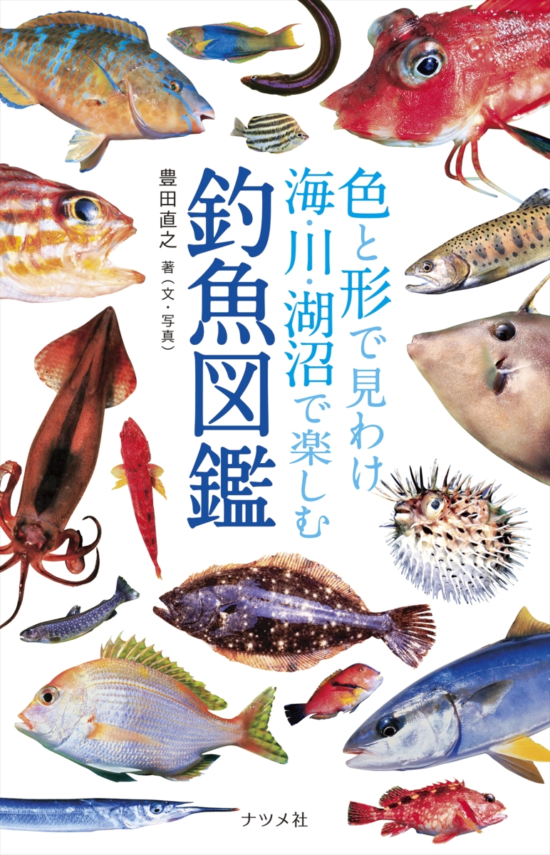 完了しました 釣り 魚 図鑑 折り紙コレクションだけ