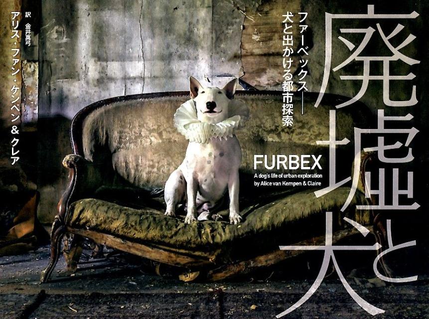 楽天ブックス 廃墟と犬 ファーベックスー犬と出かける都市探索 アリス ファン ケンペン 本